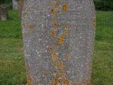 image of grave number 358907